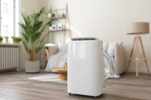 Best Local HVAC Companies  in Webster, TX